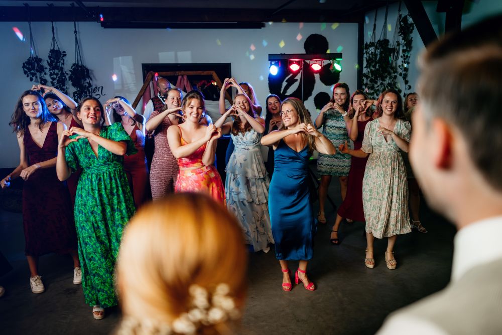 feest bruiloft, fotograaf studio haviq